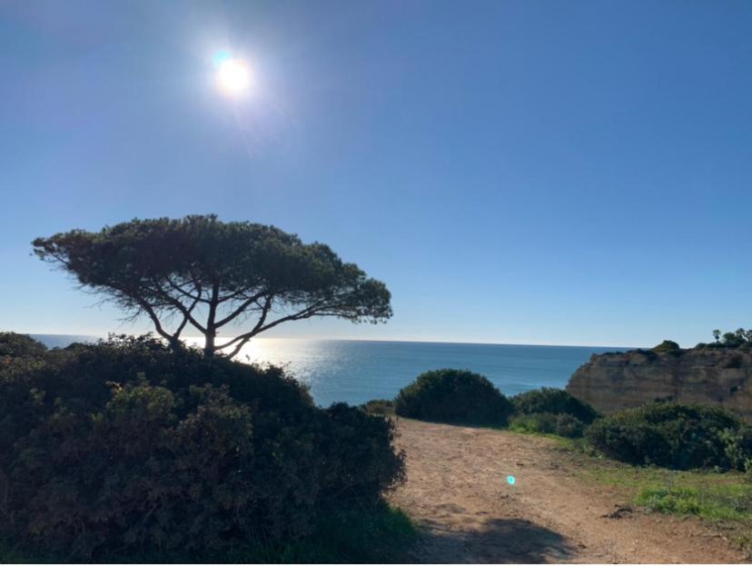Bed and Breakfast A Beira Do Vale, Carvoeiro Карвоейру Экстерьер фото